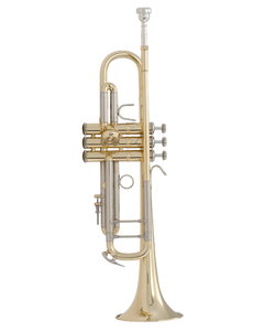 Bach Bb Professional Trumpet Model 18043