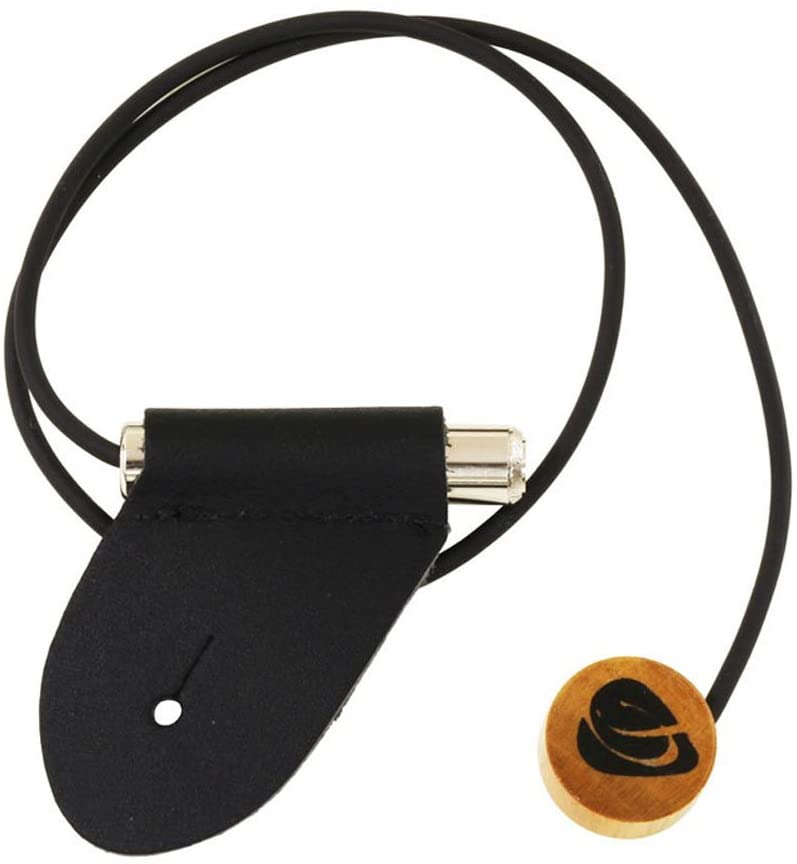 3001 Artist Pickup XM (24" Cable + Clip)