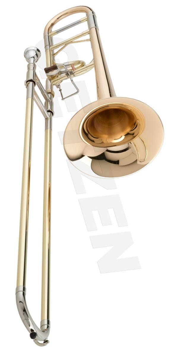 洗濯機可 edwards(エドワーズ)トロンボーン アレッシパイプ2番新品