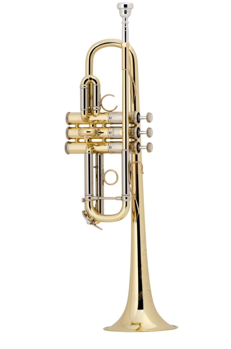 Bach C Professional Trumpet Model AC190