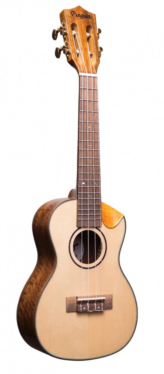 AM800G-C Penguin Solid Spruce Top, Scallop Cutaway, Concert