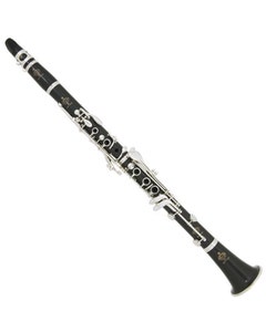 Buffet Crampon R13 Bb "Greenline" Professional Clarinet with Silver Plated Keys