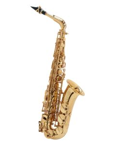 Selmer Paris Eb Professional Alto Saxophone Model 62J