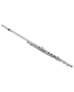 Di Zhao Student Step Up Flute - Silver - 770 Series