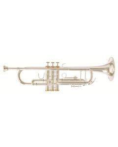 F. Schmidt Bb Artist trumpet - Silver - A180SDLX