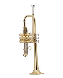 Bach Stradivarius "Artisan"Combination D/Eb trumpet Model ADE190