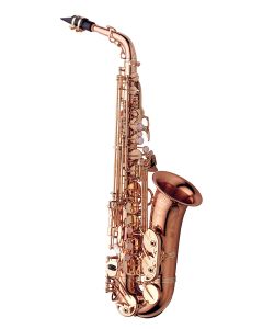 Yanagisawa Eb Professional Alto Saxophone Model AW020PG