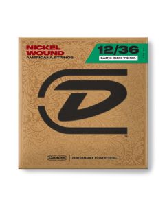 DJN1236 BANJO-NKL IRISH TENOR 12-36 - 4-SET