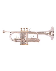  F. Schmidt Eb/D Professional Harmony Trumpet - Silver - E180S