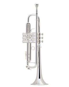 Bach Bb Professional Trumpet Model LR180S43