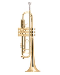 Bach Bb Professional Trumpet Model LT18037