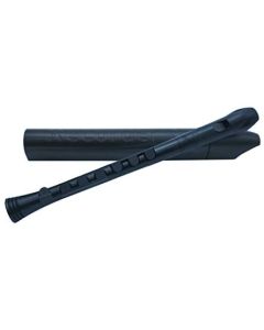 Recorder+ Black/Black with hard case