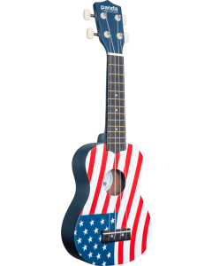 Panda 1 American Flag Design