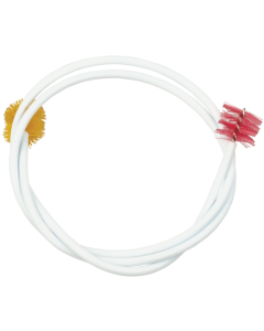 Rainbow Trumpet Snake