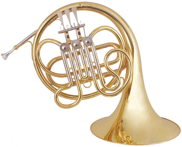 F. Schmidt F Single French Horn - FSD313L