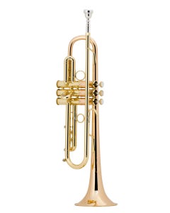 Bach Bb Professional Trumpet Model LT190L1B