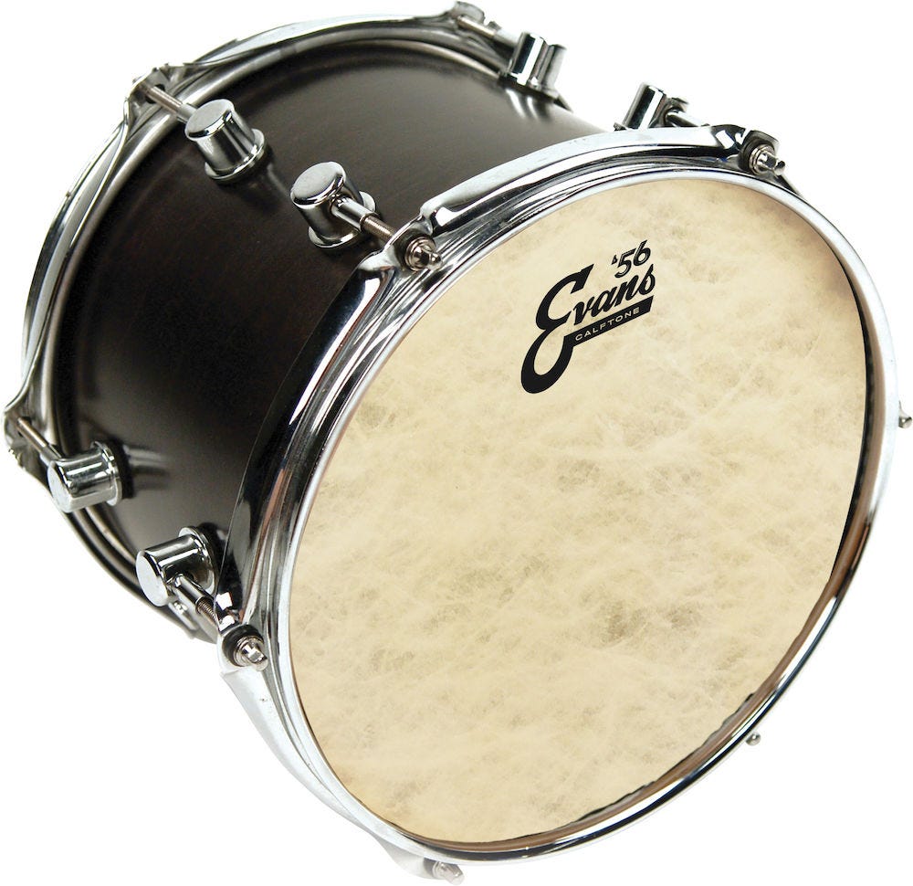 Evans Calftone Tom Batter, 8 Inch