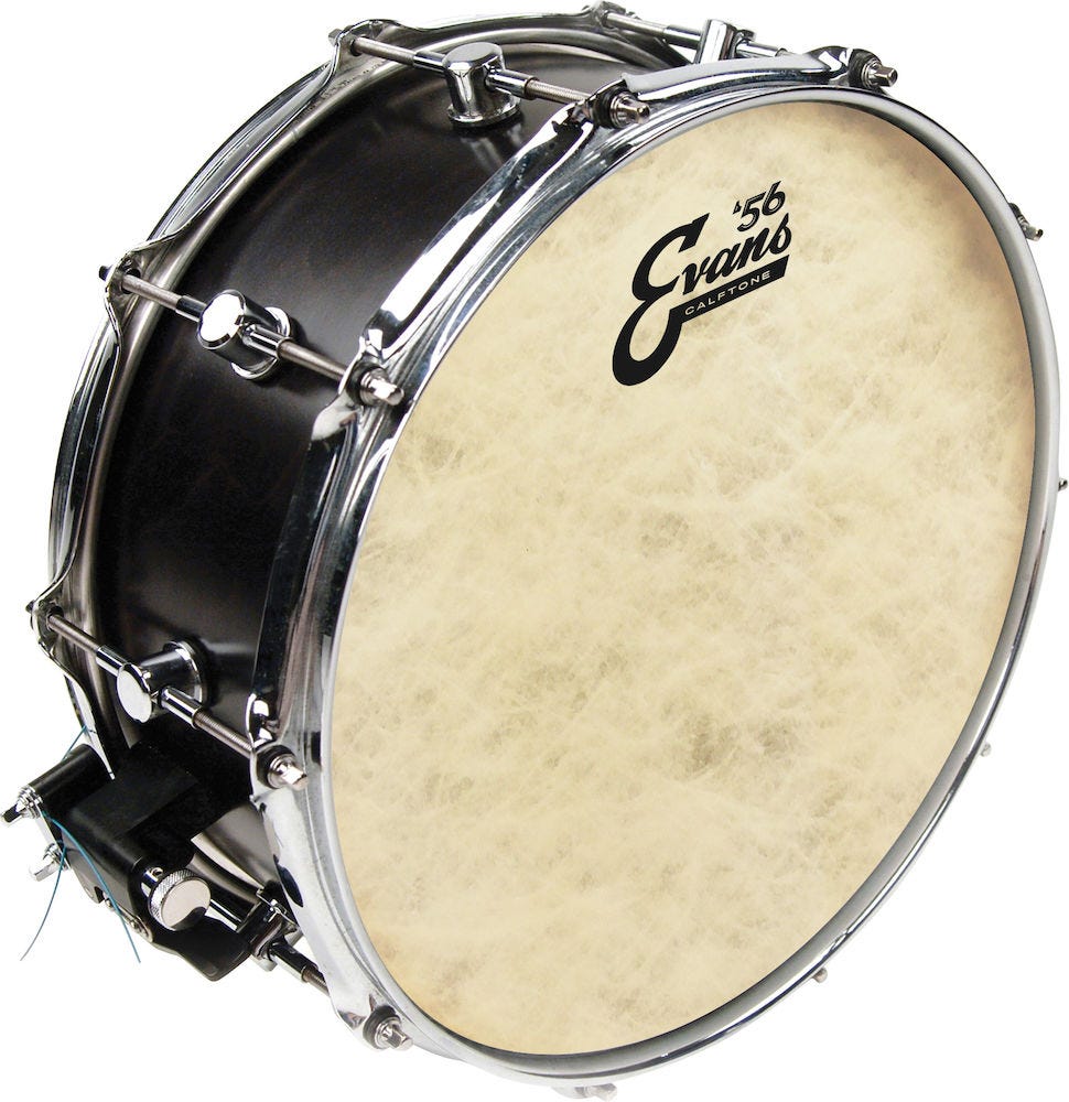 Evans Calftone Tom Batter, 14 Inch