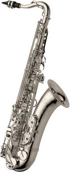 Yanagisawa Bb Professional Tenor Saxophone Model TWO10S